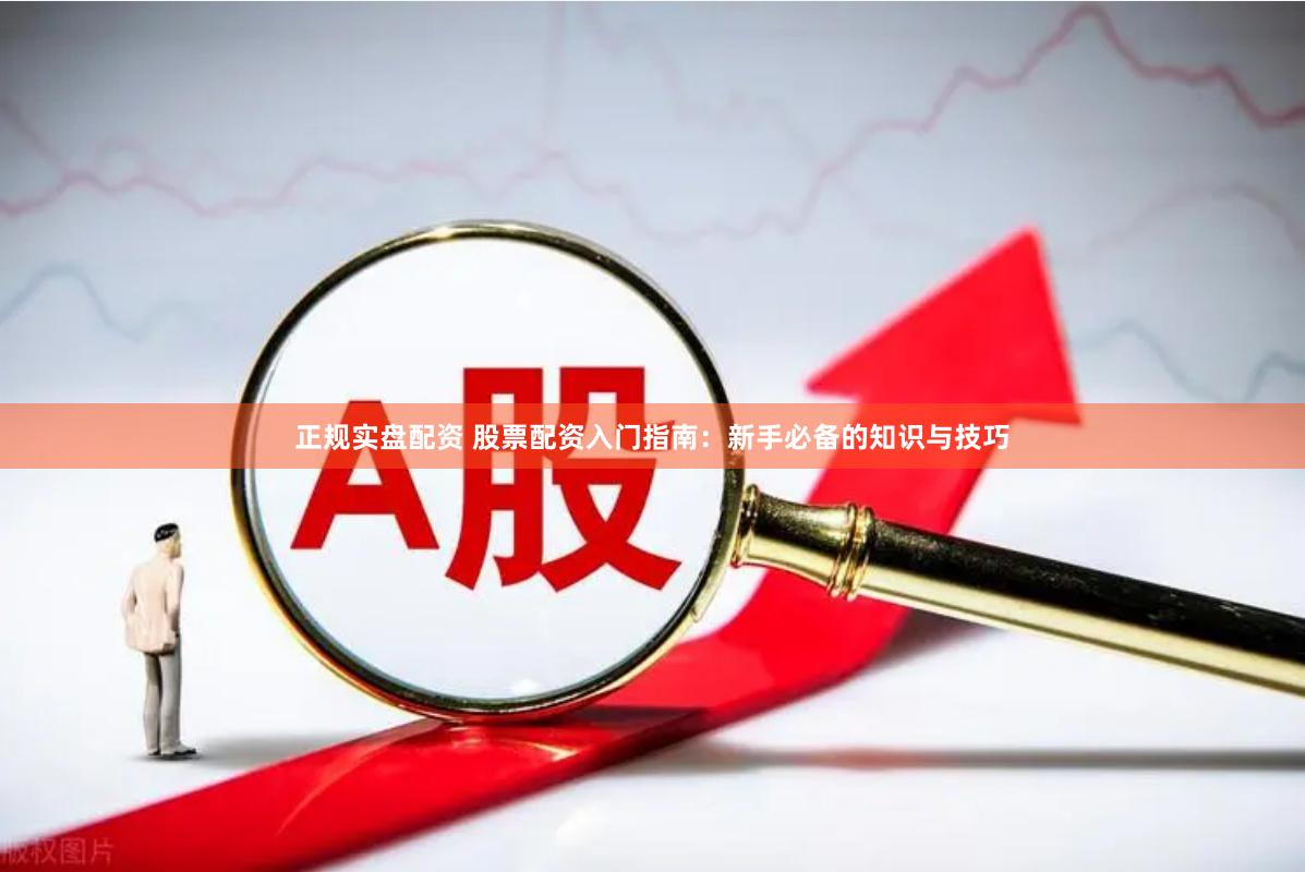 正規實盤配資 股票配資入門指南：新手必備的知識與技巧